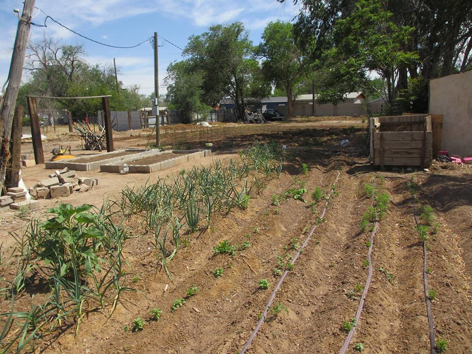 Garden at the Town of Atrisco's Office